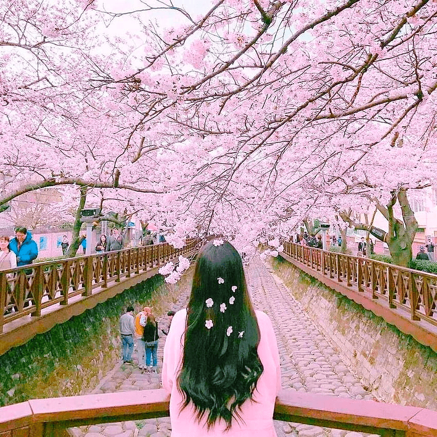 korea