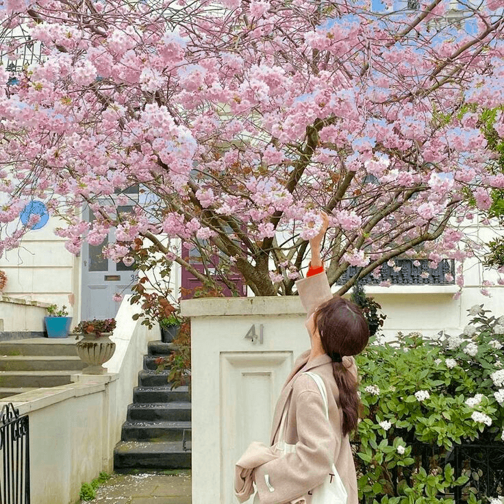 korea
