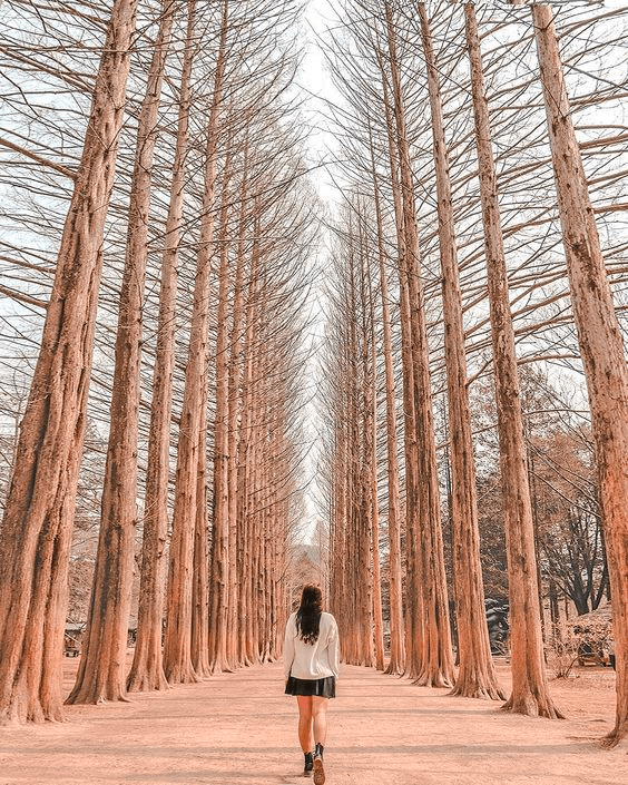 korea